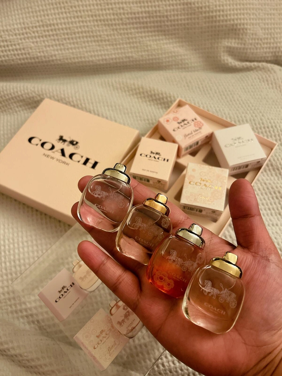 Coach the Fragrance (New York)