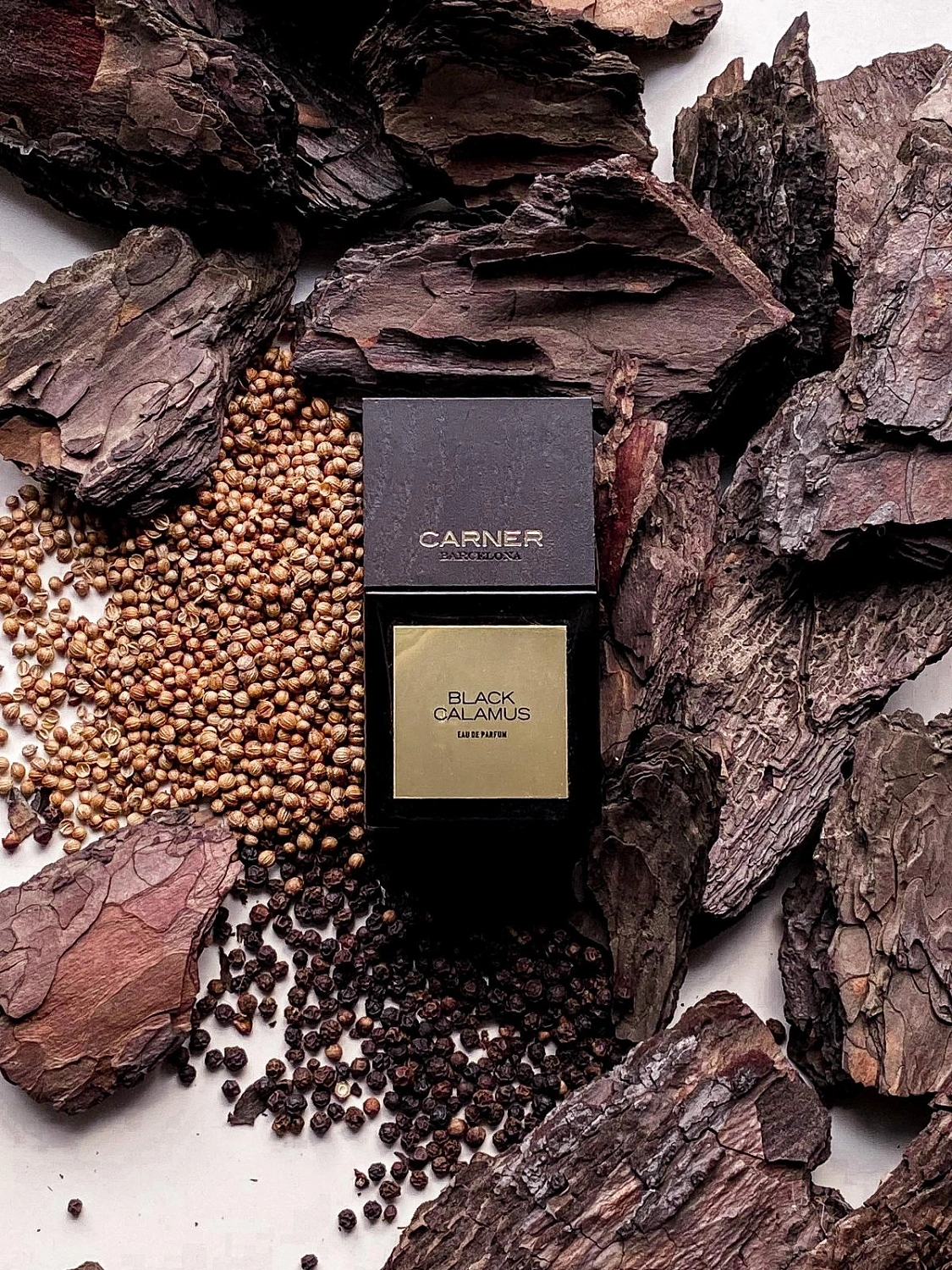 Carner Barcelona Black Calamus