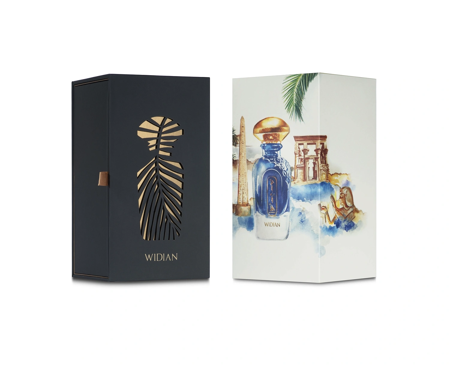 Aj Arabia Widian Aswan