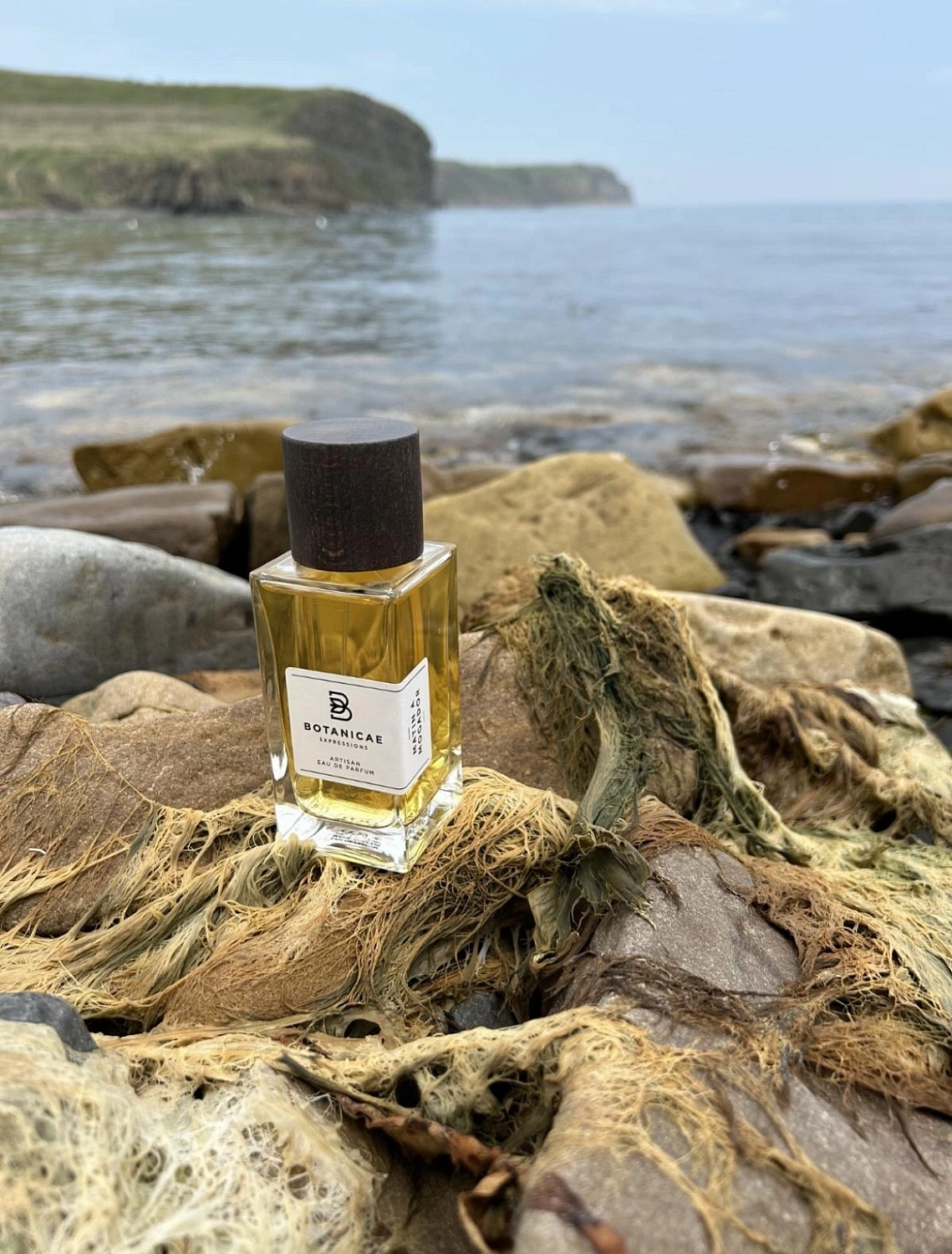 Botanicae Matin a Mogador