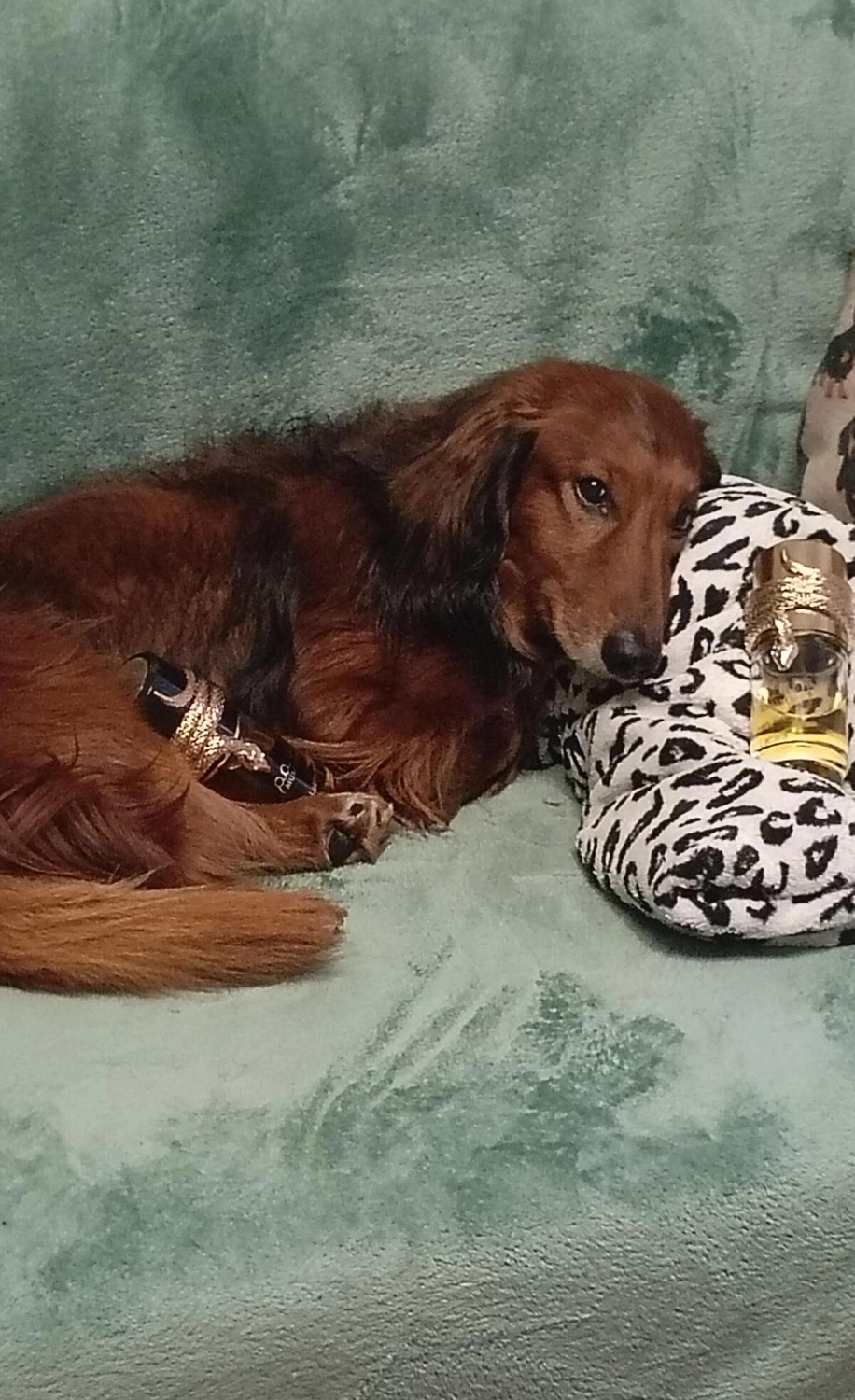 Lattafa Musamam White Intense