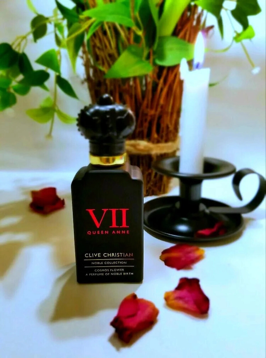 Clive Christian Cosmos Flower