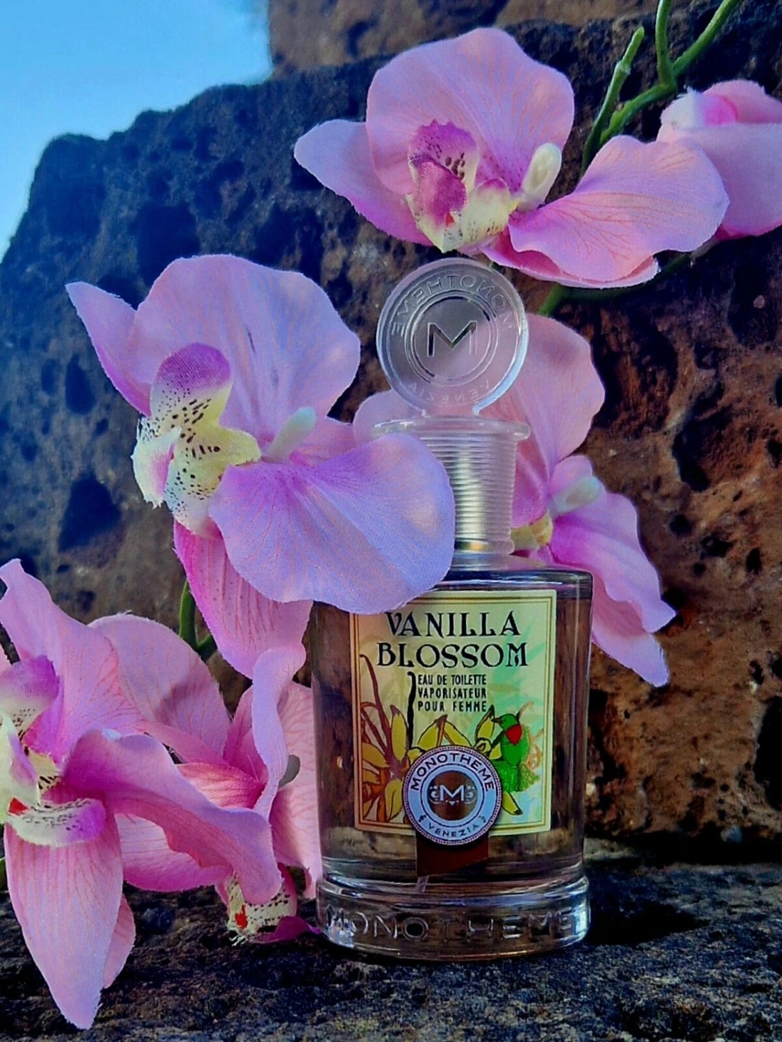 Monotheme Fine Fragrances Venezia Vanilla Blossom Monotheme Fine Fragrances Venezia Vanilla Blossom