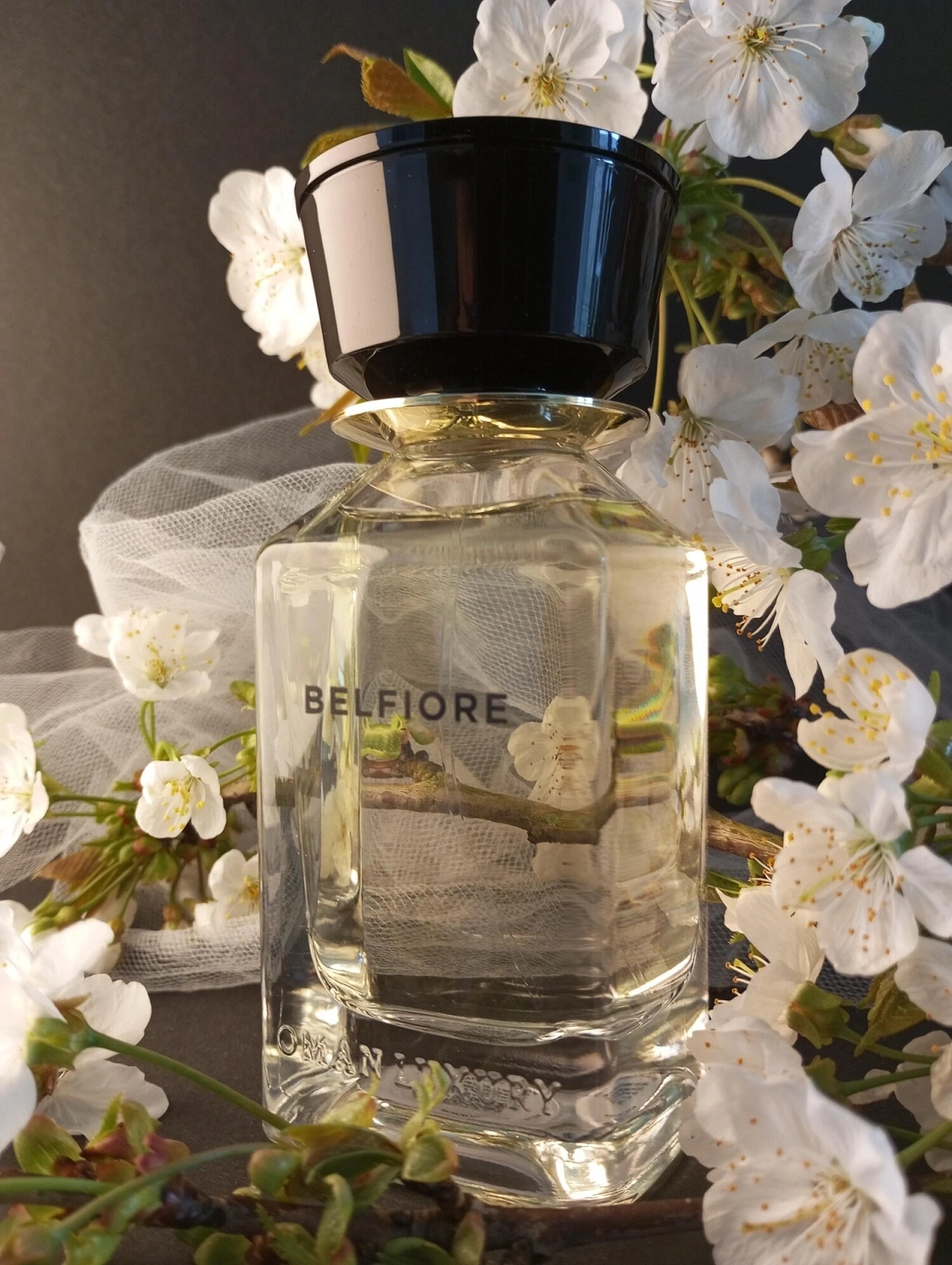 Omanluxury Belfiore