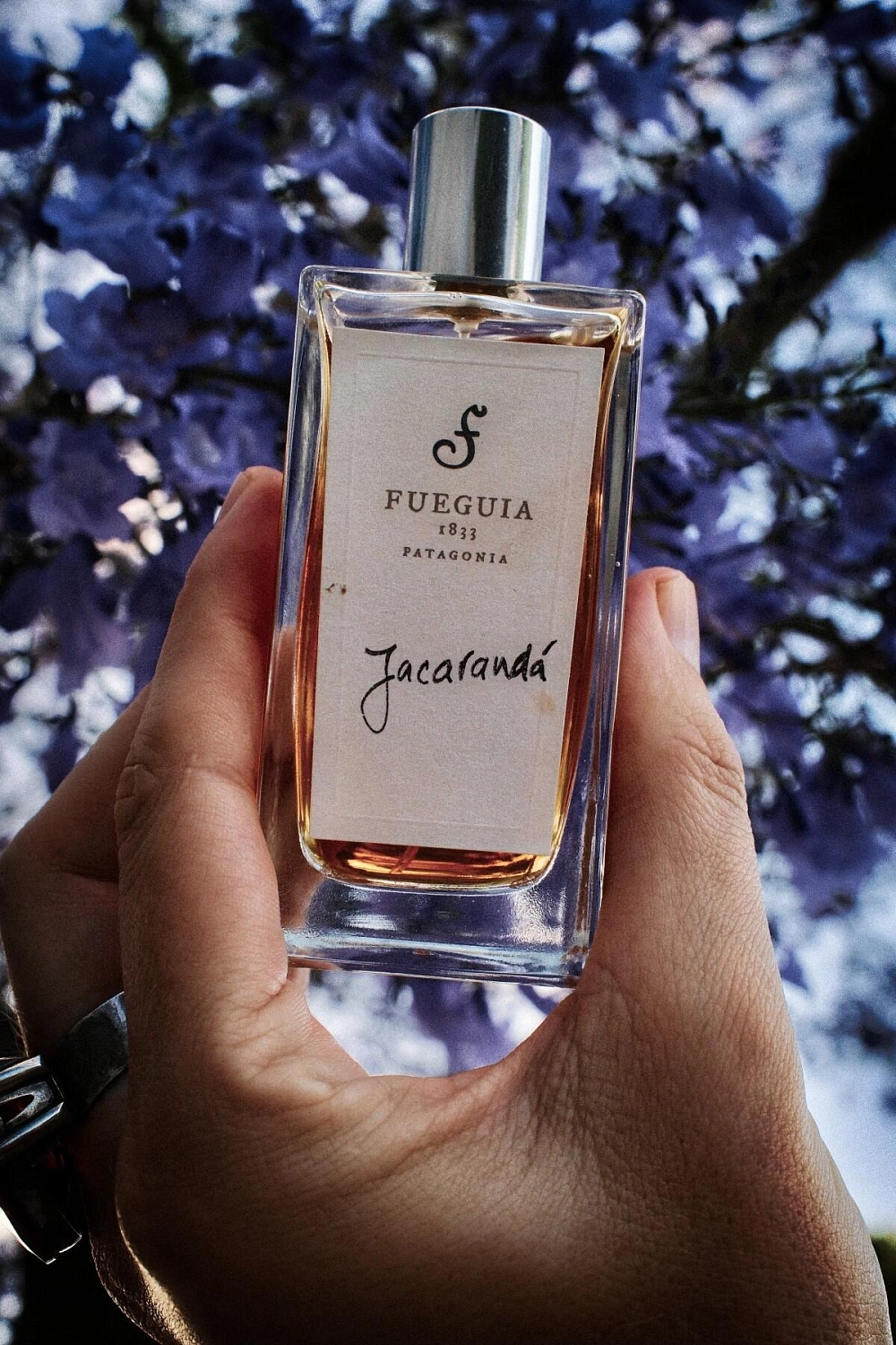 Fueguia 1833 Jacaranda