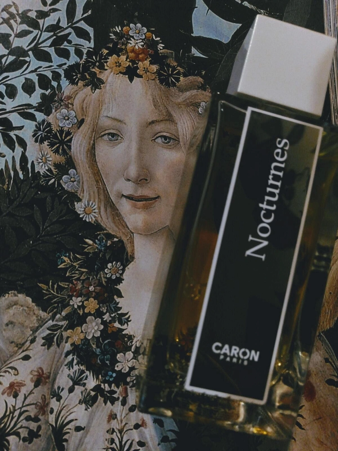 Caron Nocturnes 2013