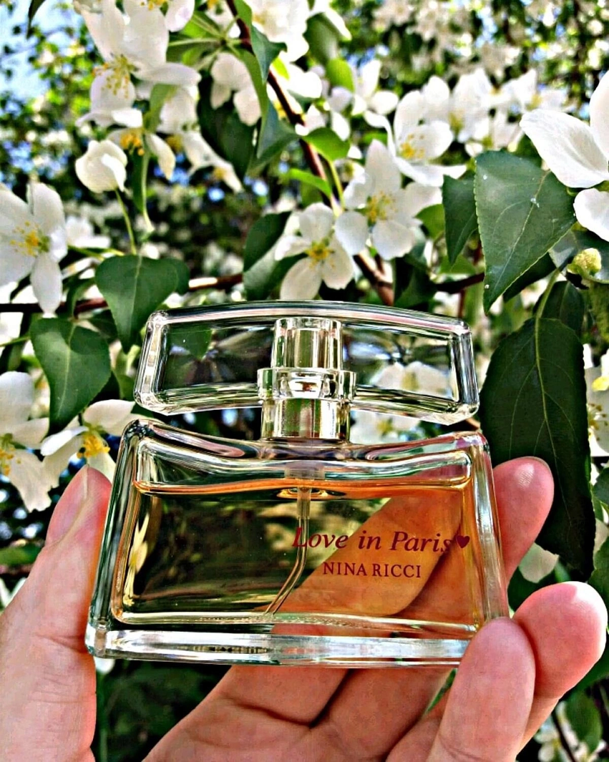 NINA RICCI Love In Paris