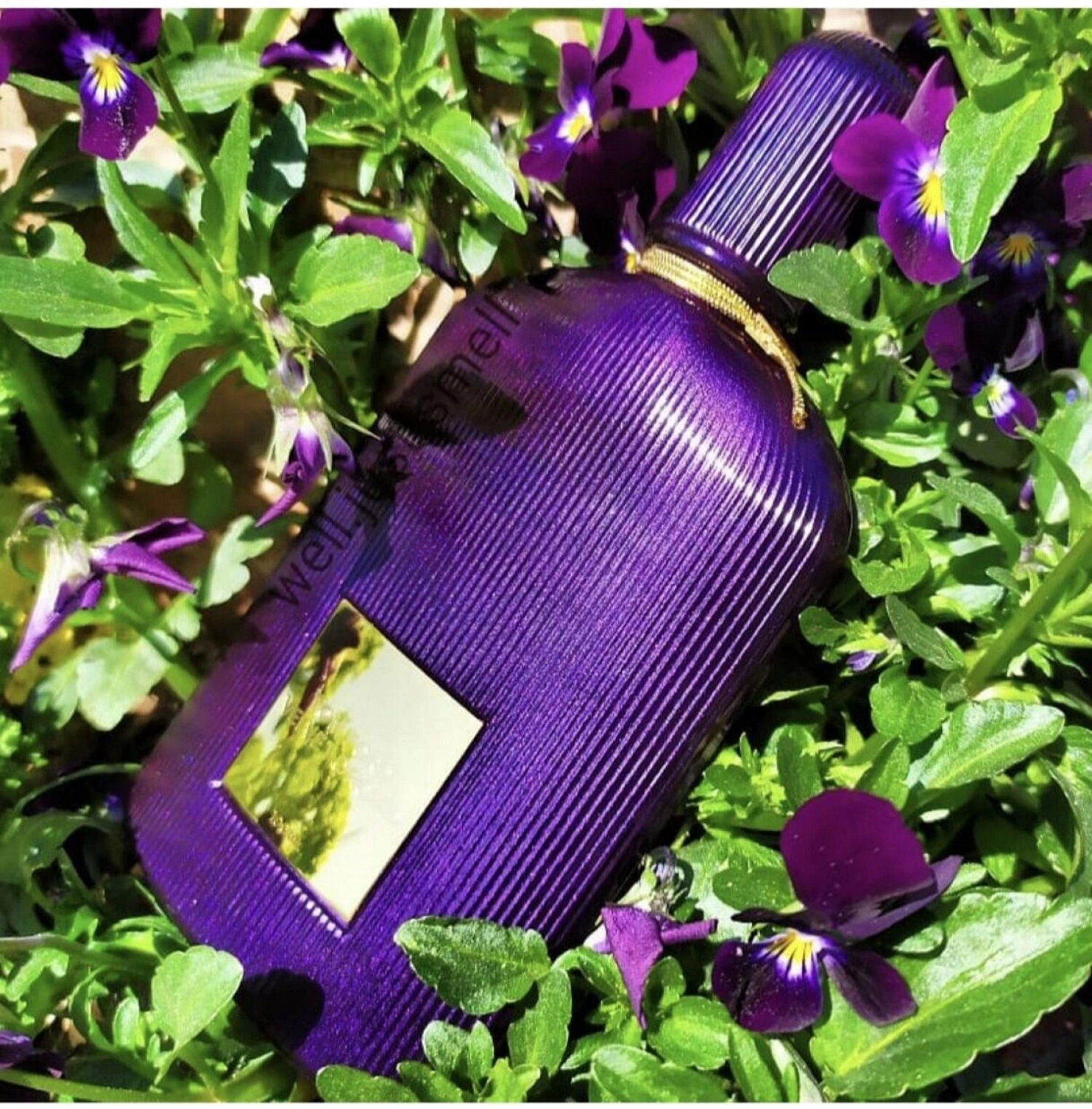 Tom Ford Velvet Orchid