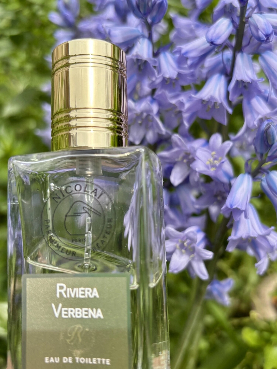 Nicolaï Riviera Verbena