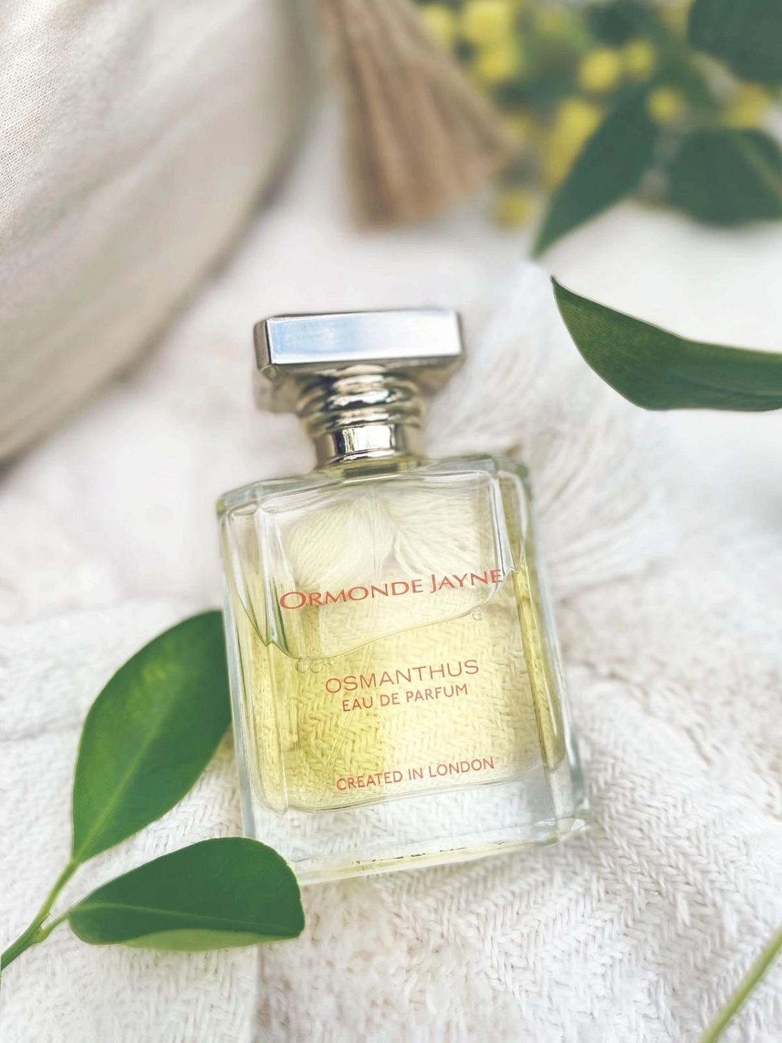 Ormonde Jayne Osmanthus