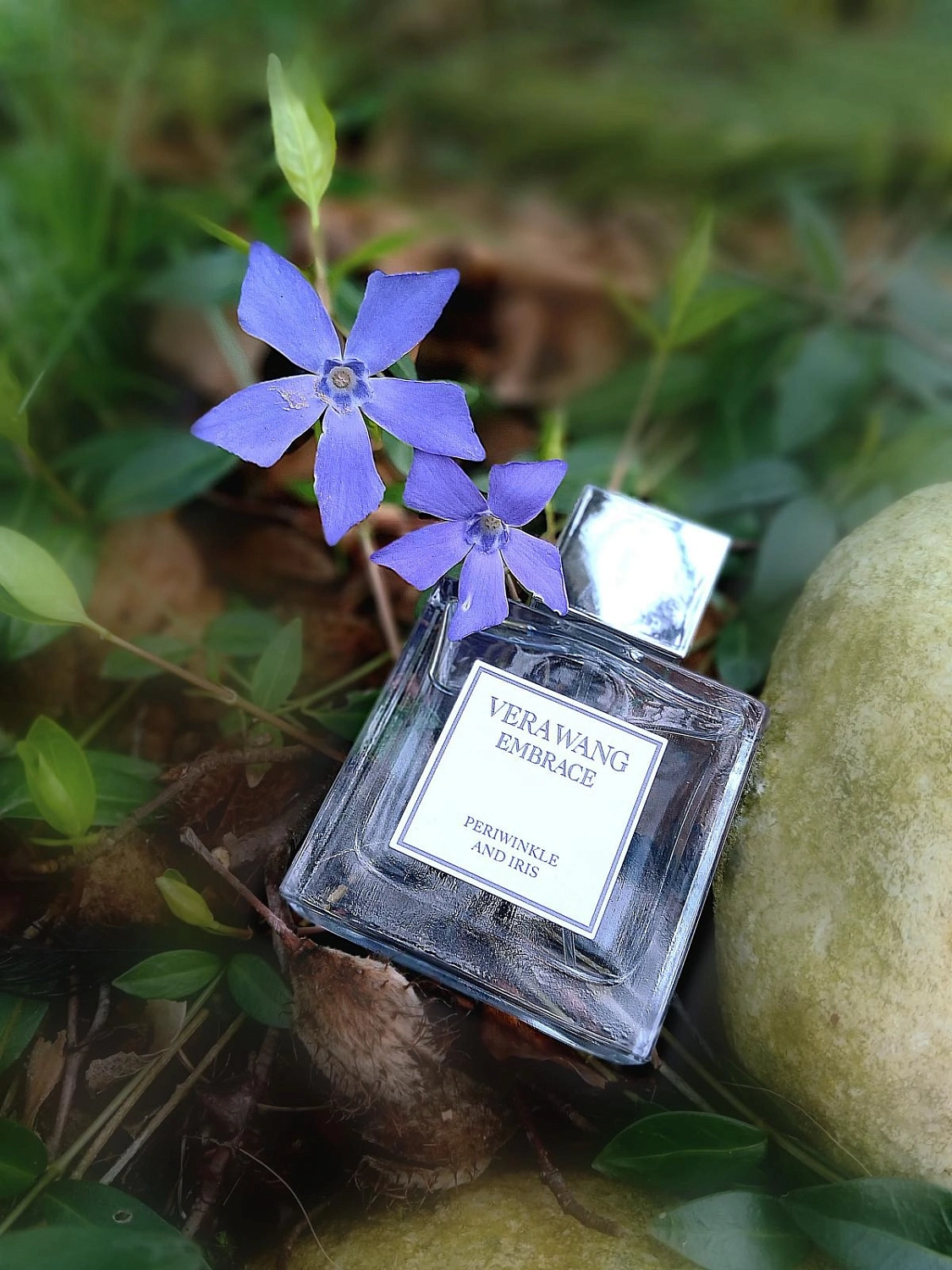 Vera Wang Embrace Periwinkle & Iris