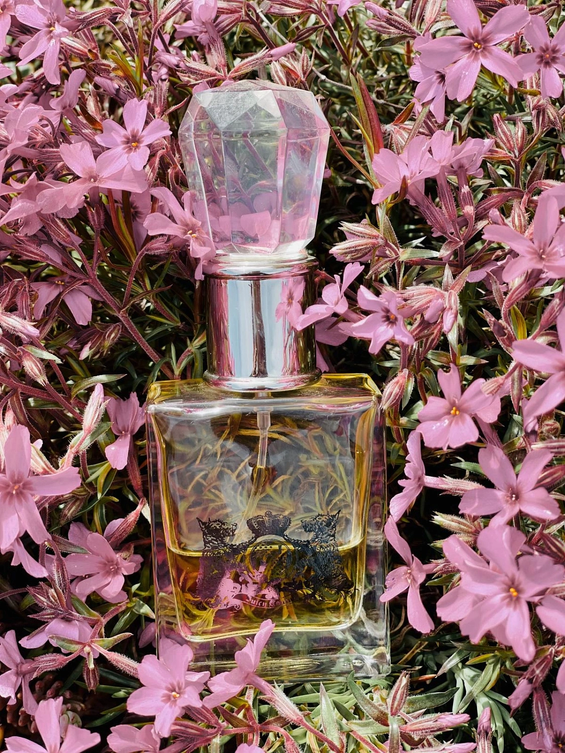 Juicy Couture