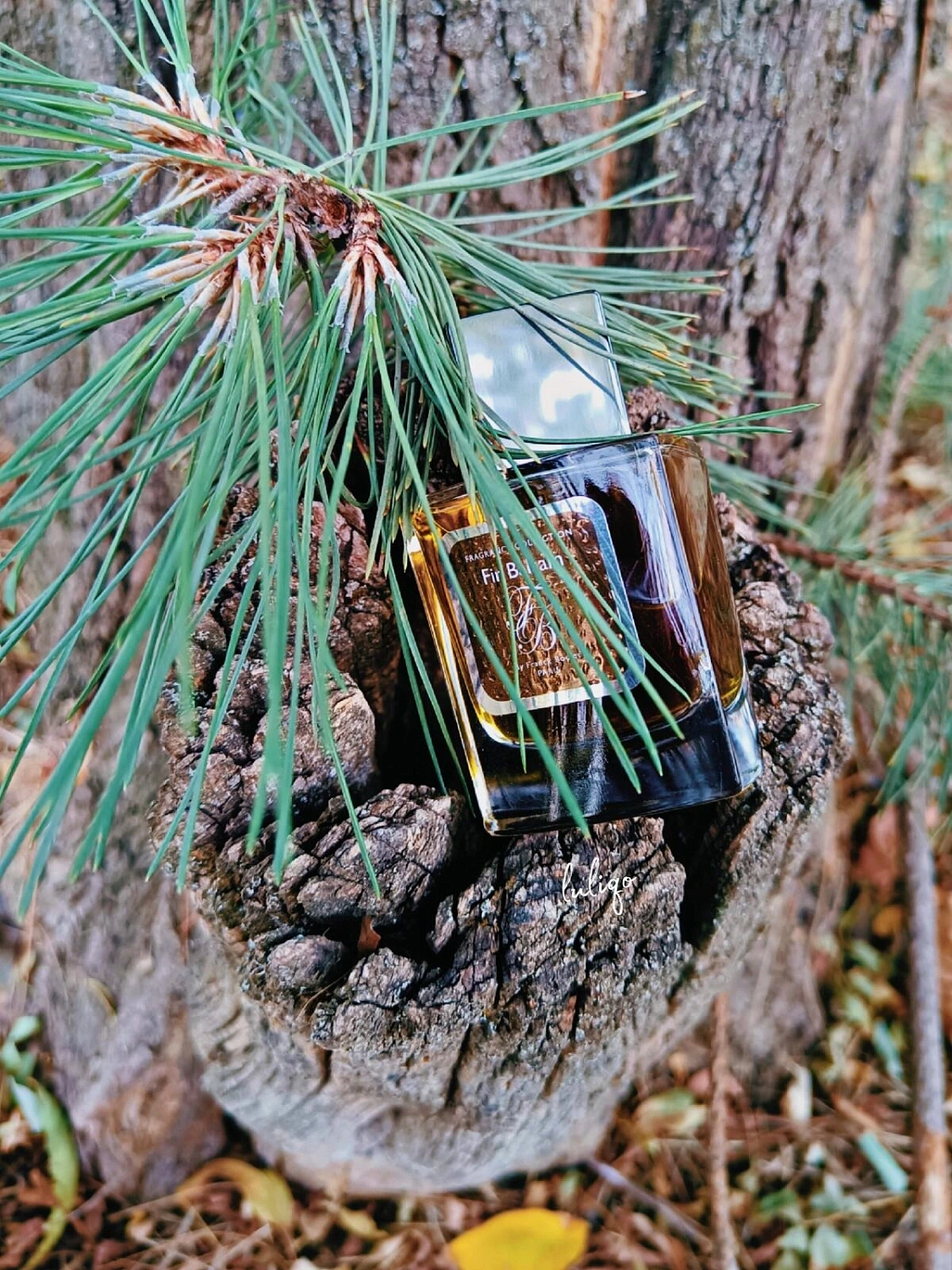 Franck Boclet Fir Balsam