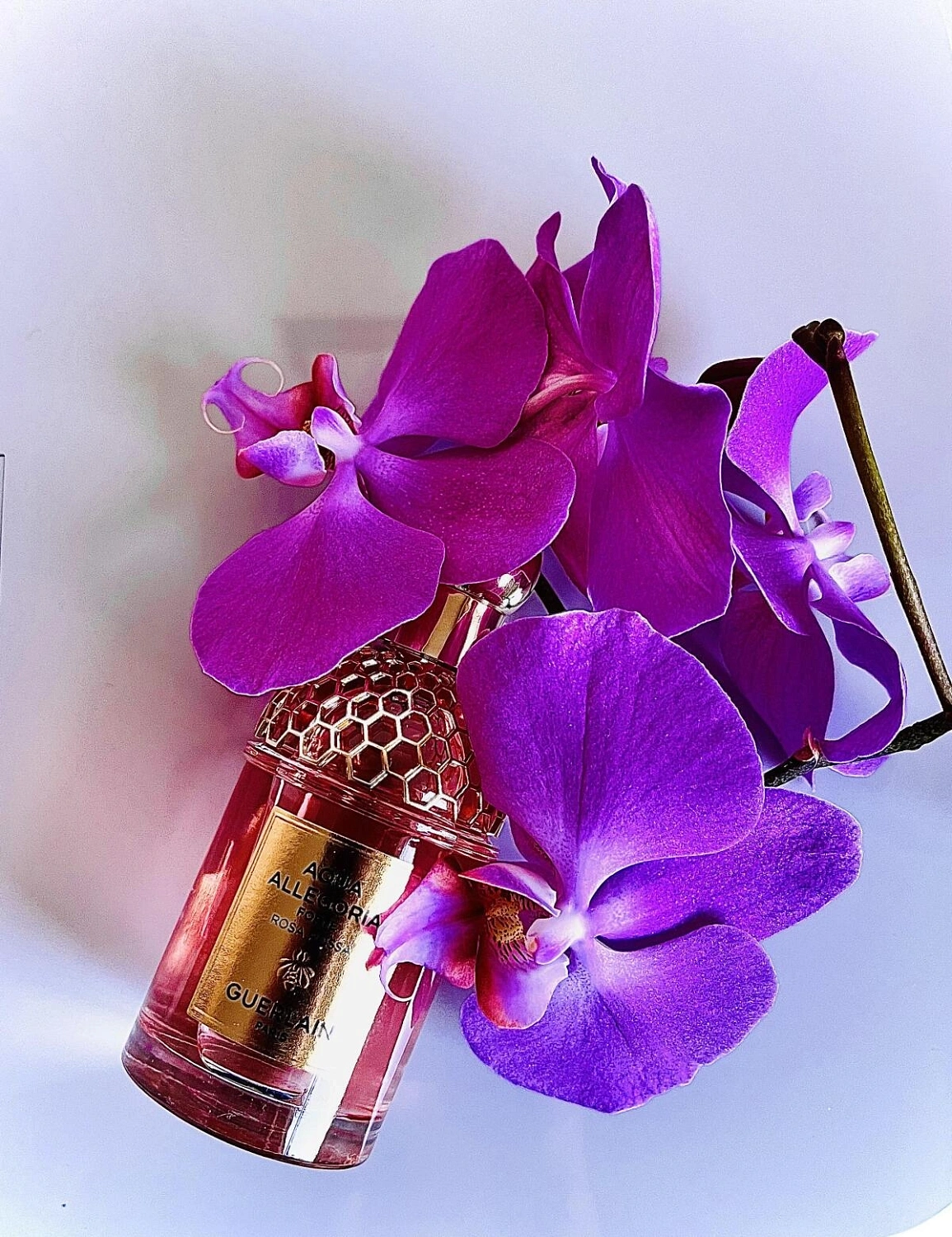 Guerlain Aqua Allegoria Forte Rosa Rossa