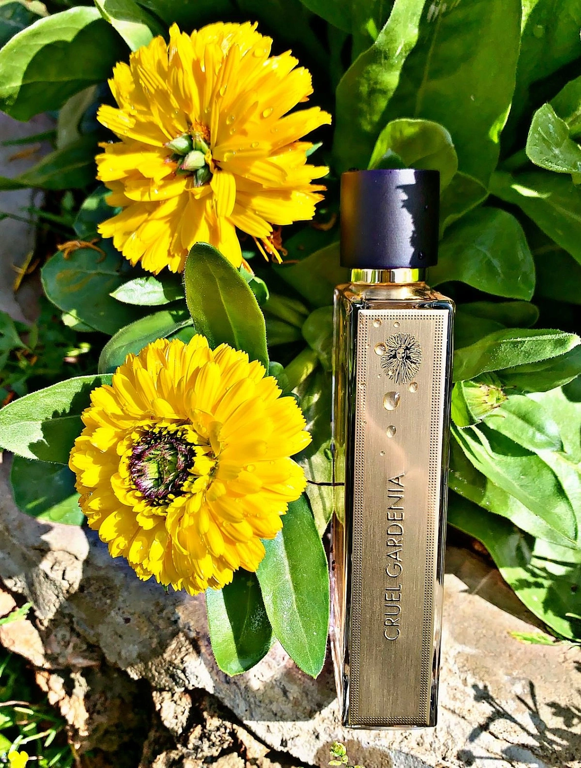 Guerlain Cruel Gardenia