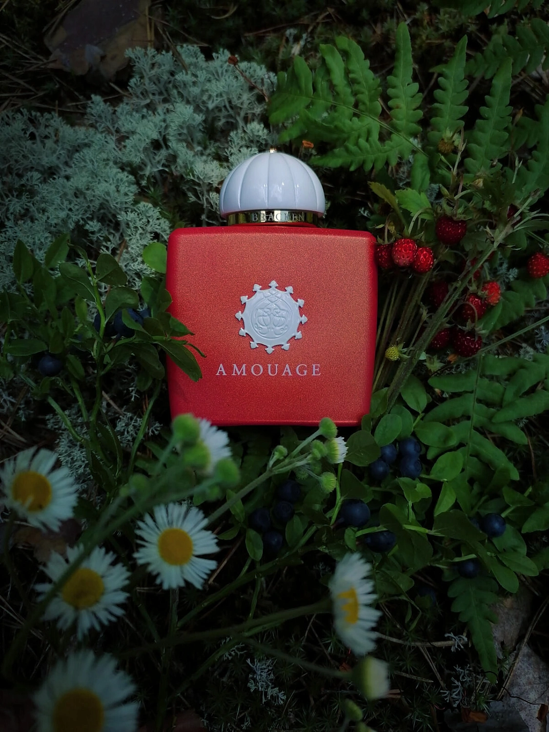 Amouage Bracken Woman Amouage Bracken Woman
