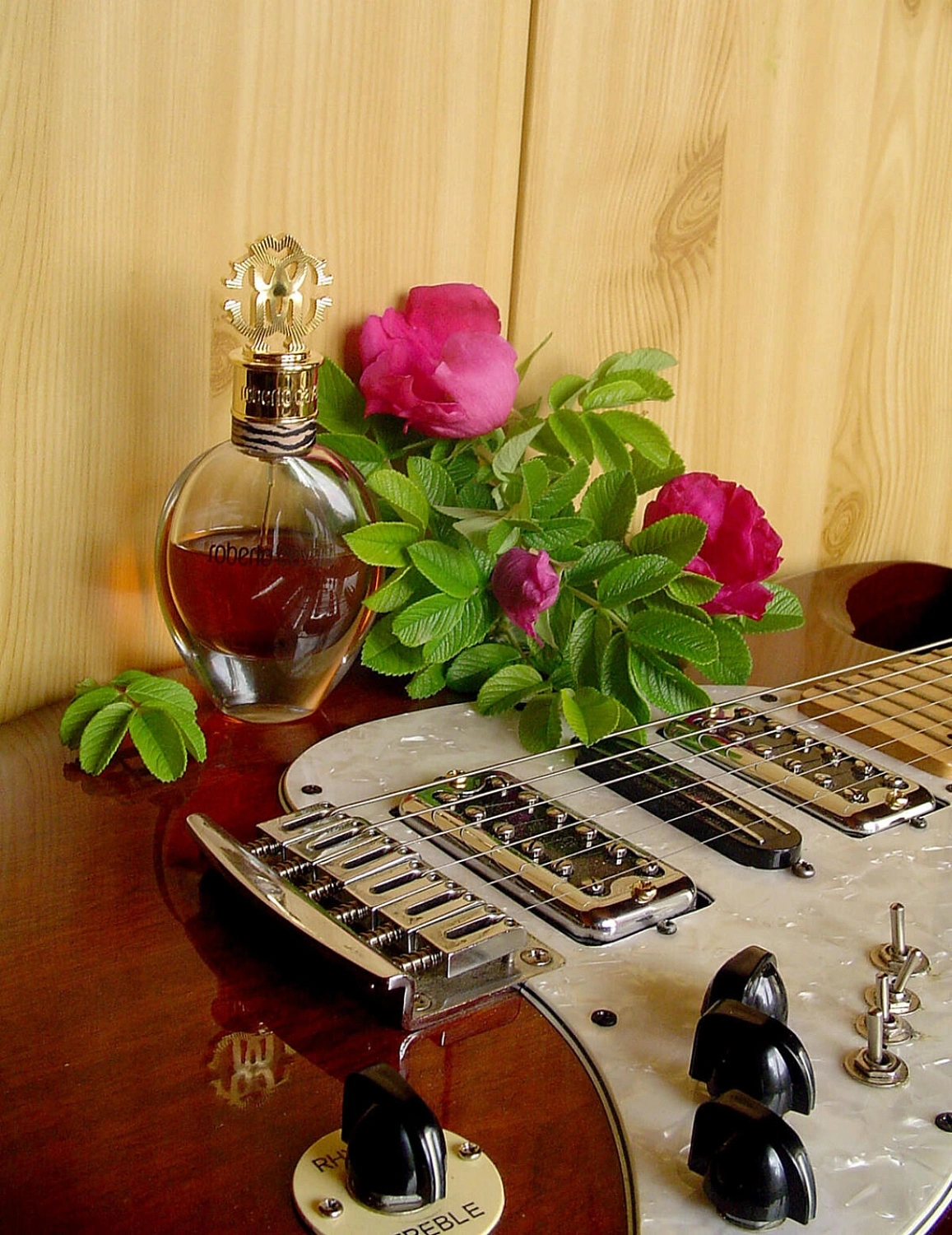 Roberto Cavalli Signature