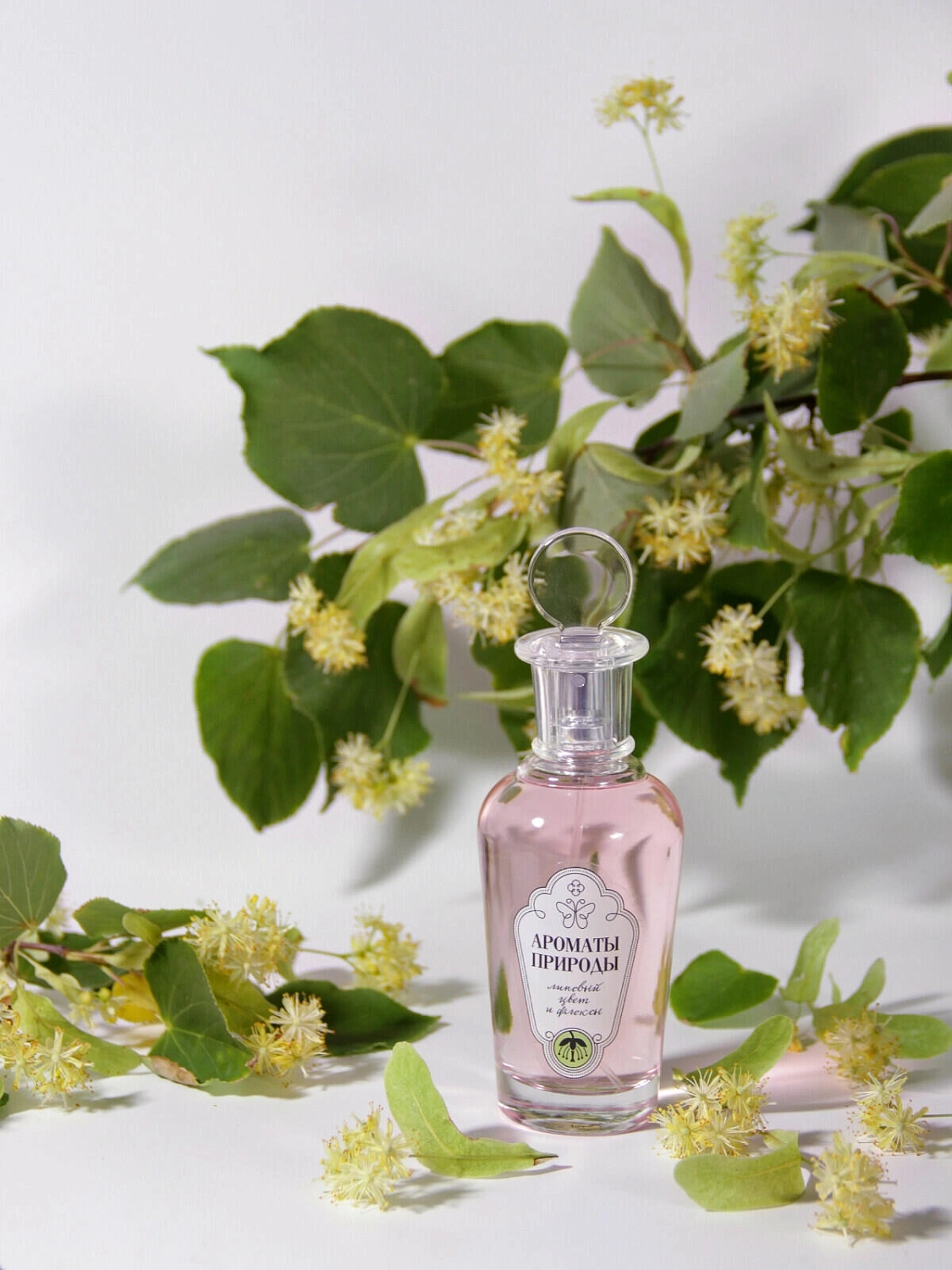 Brocard Липовый Цвет и Флоксы