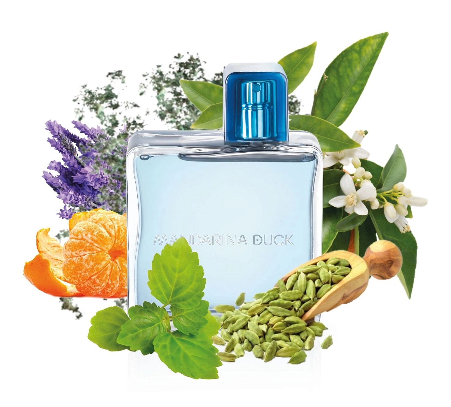 Mandarina Duck For Him