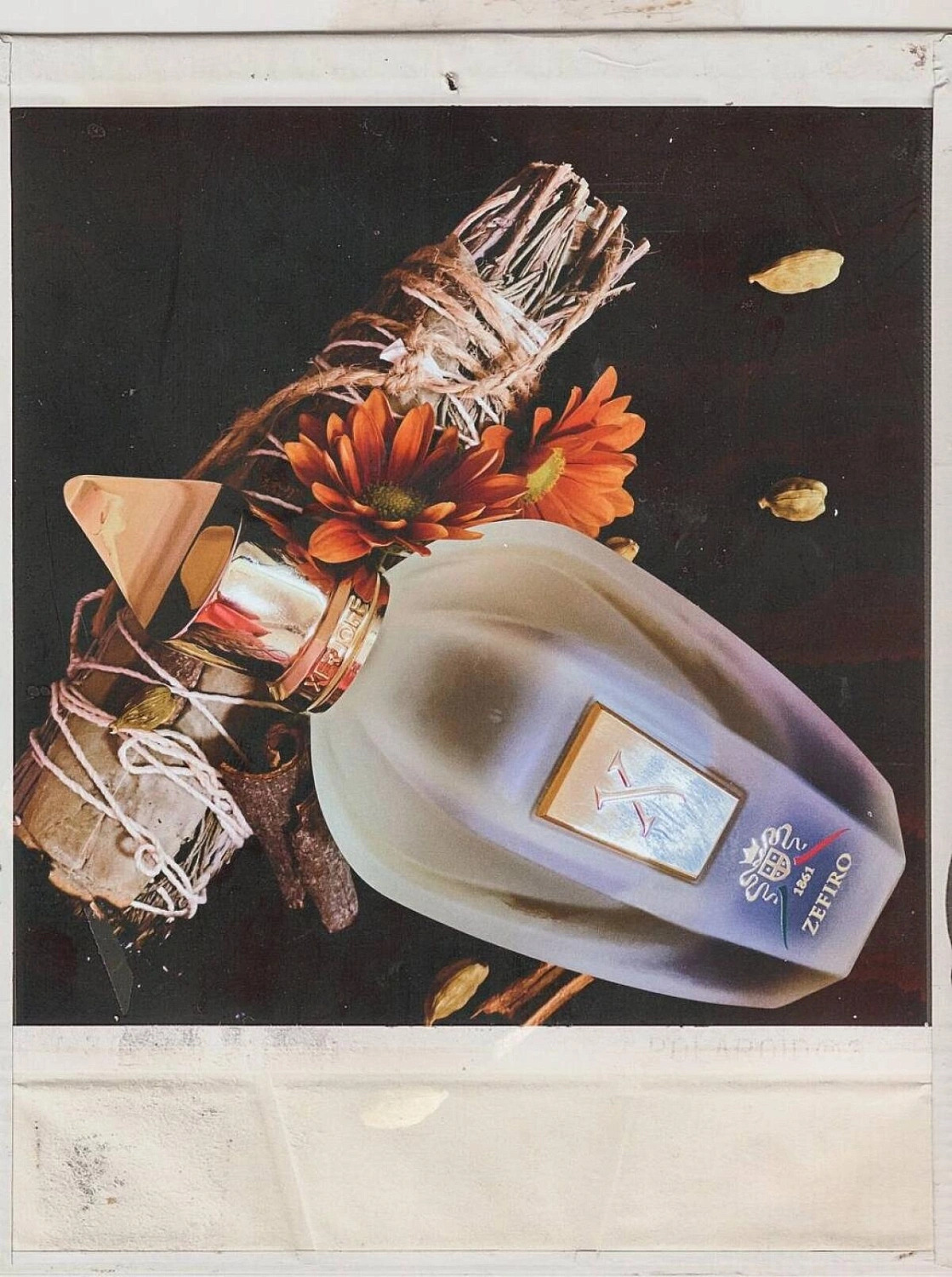 Xerjoff XJ 1861 Zefiro