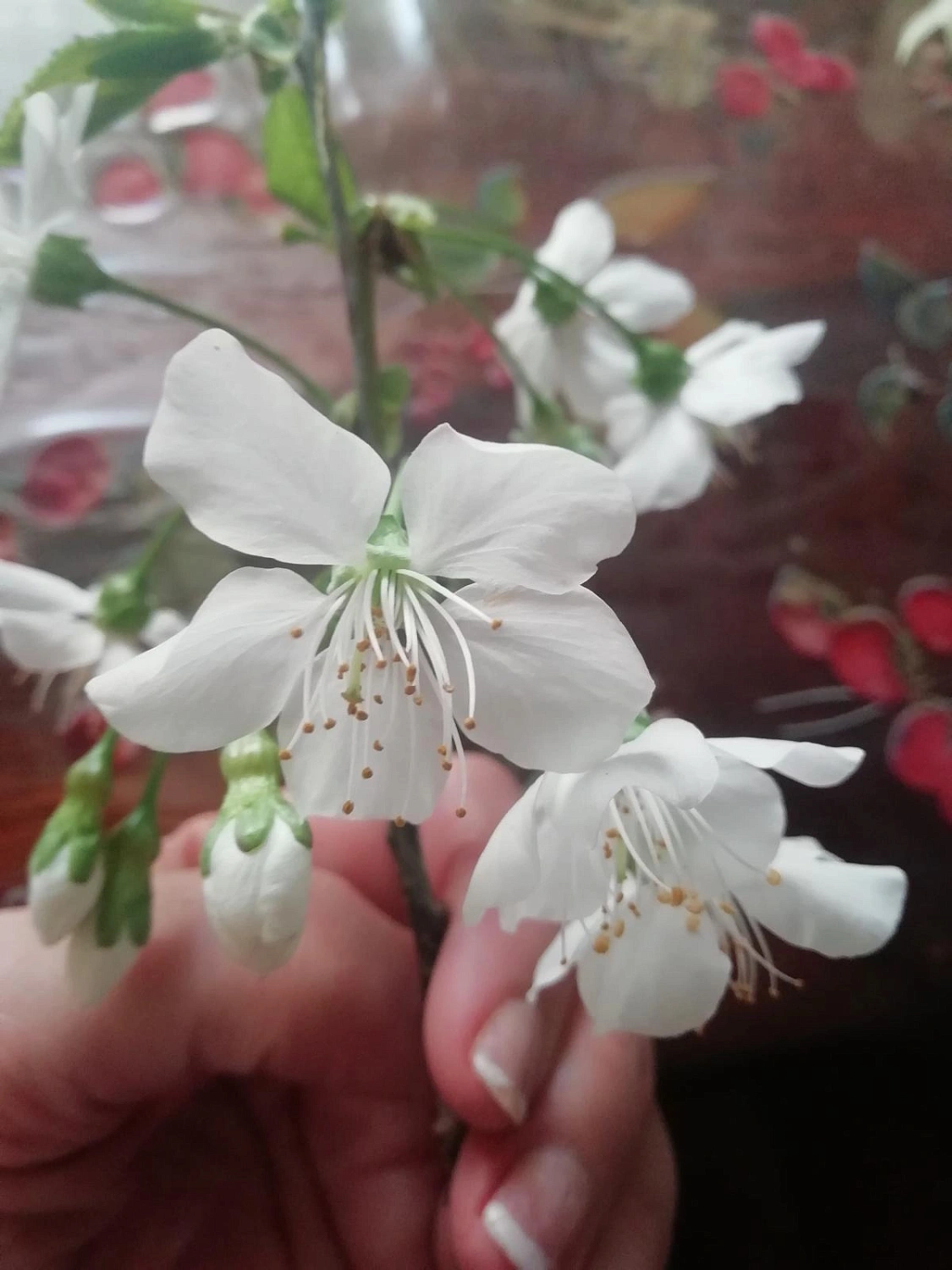 SERGIO TACCHINI La Volee