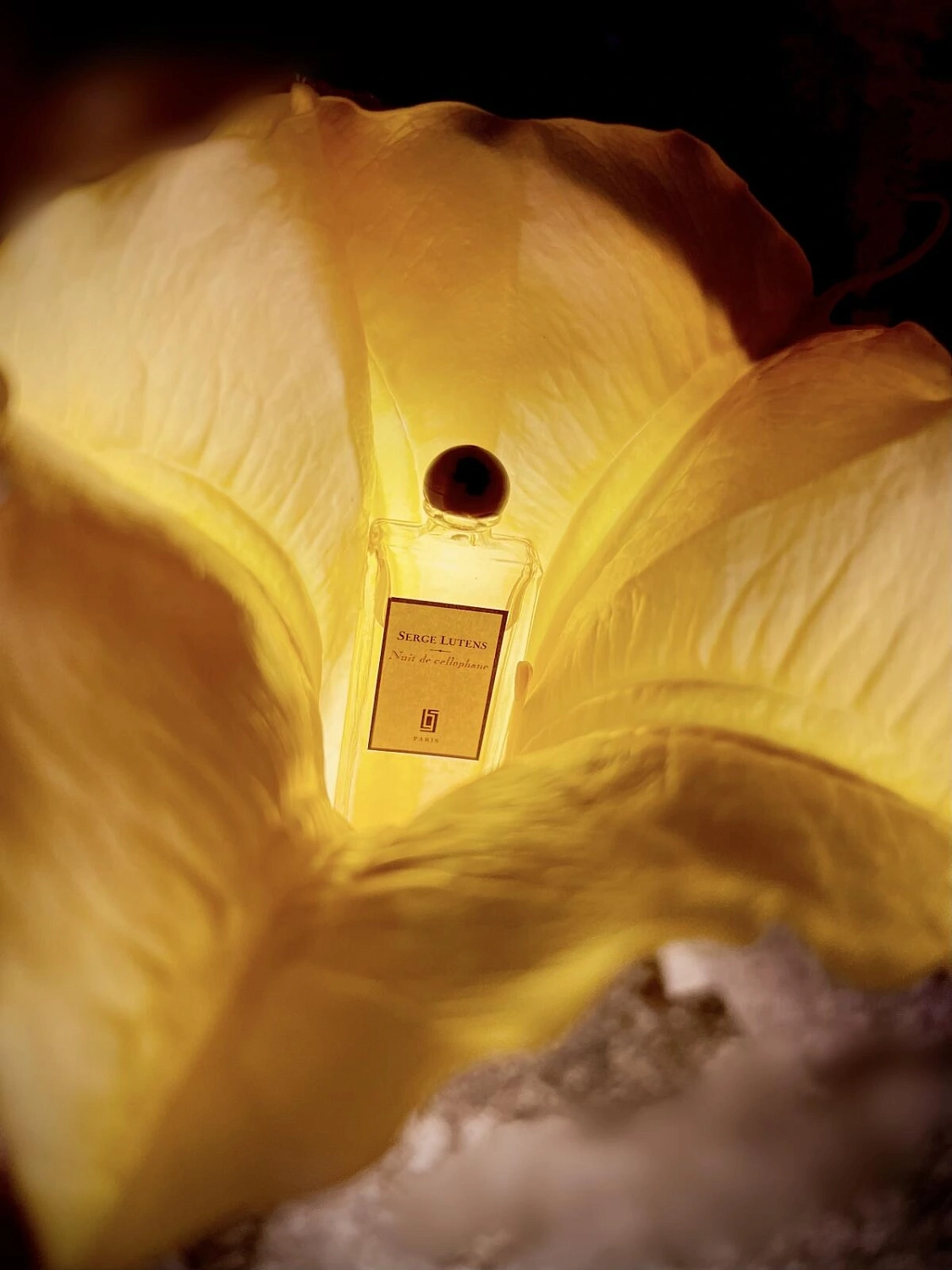 Serge Lutens Nuit de Cellophane