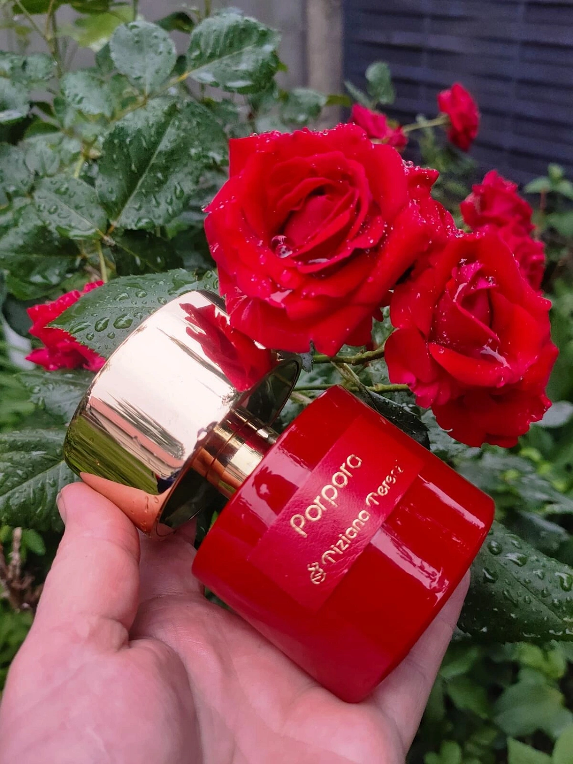 Tiziana Terenzi Porpora