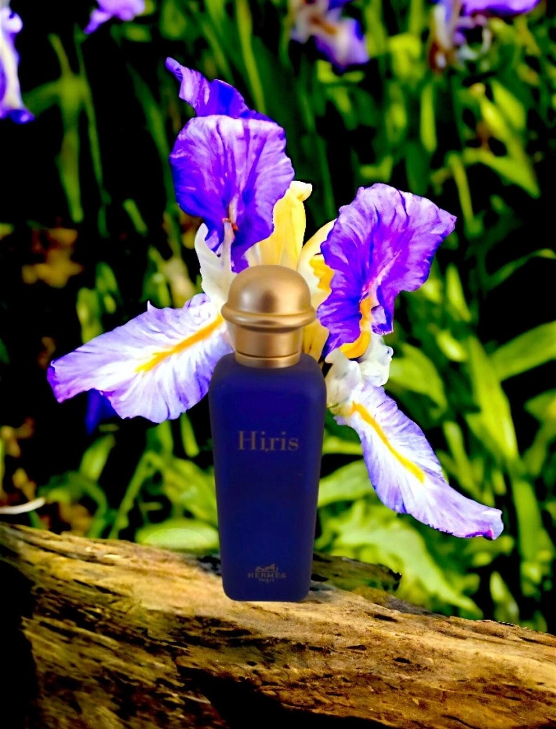 Hermes Hiris