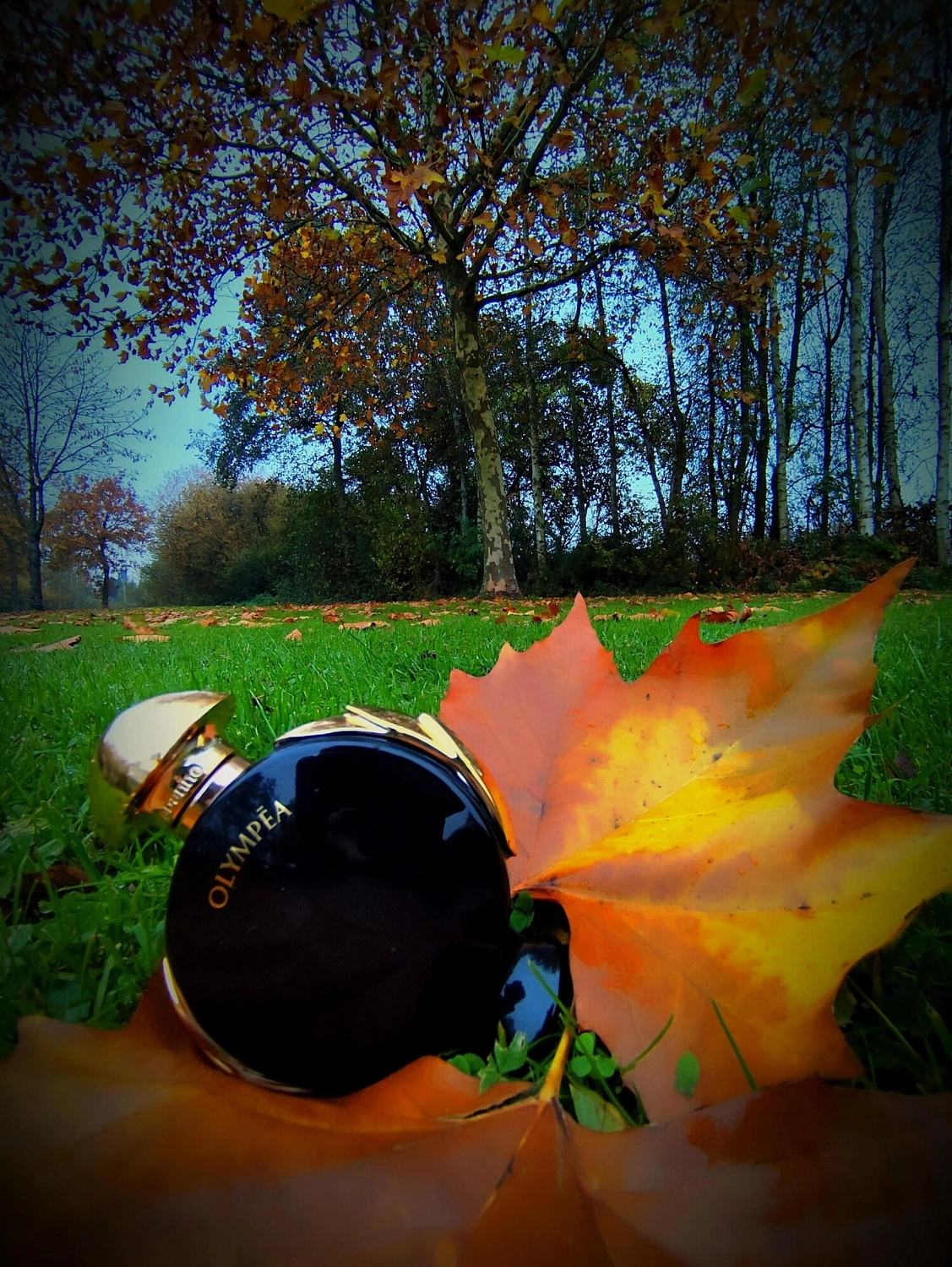 Paco Rabanne Olympea Parfum