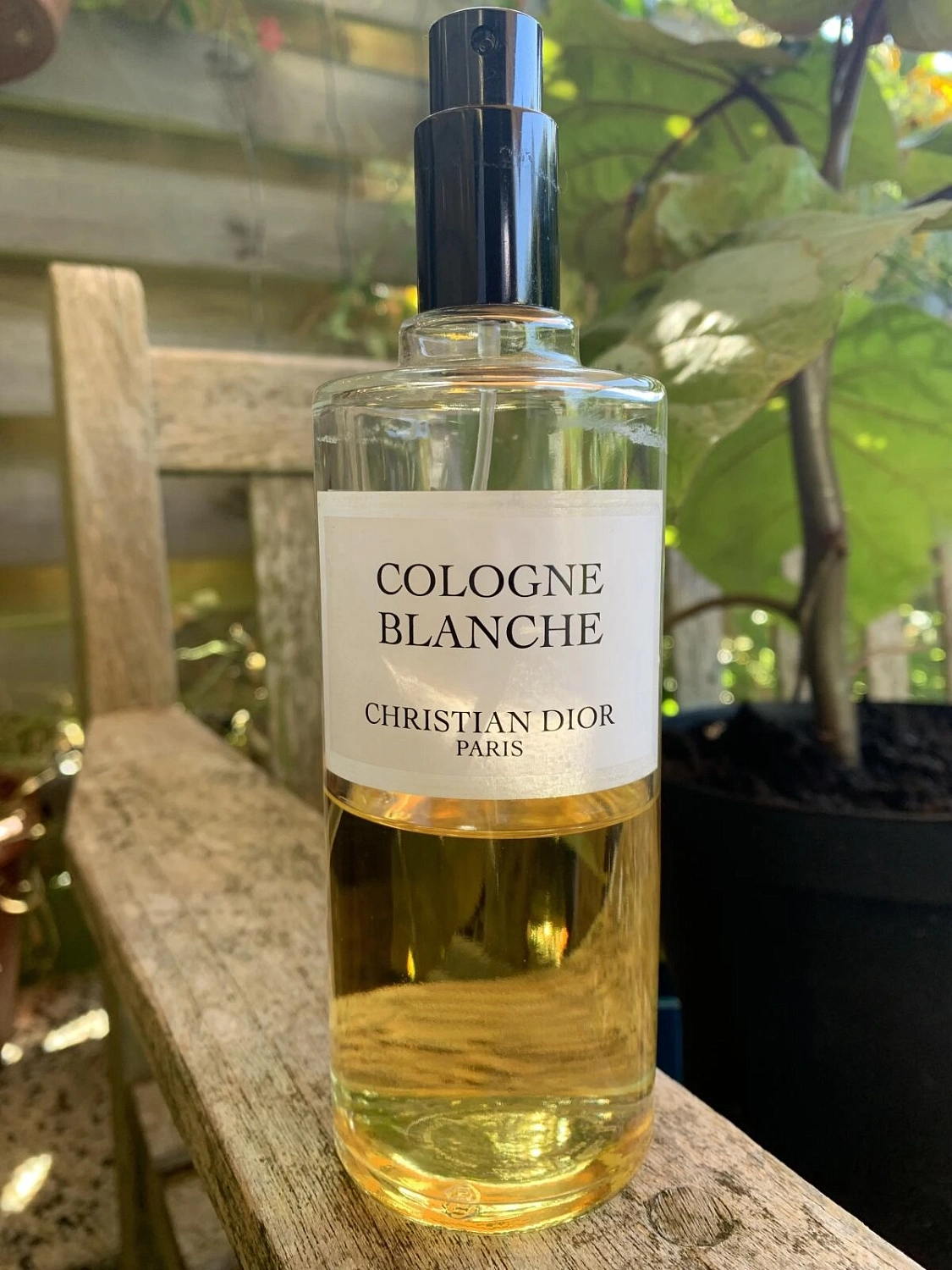 Christian Dior Cologne Blanche