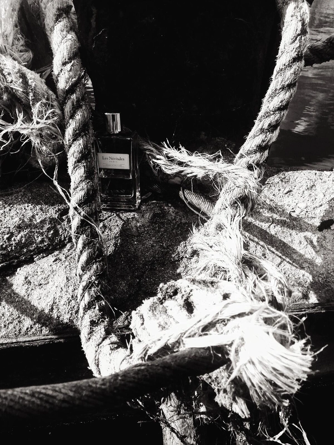 Les Nereides Etoile d'Oranger