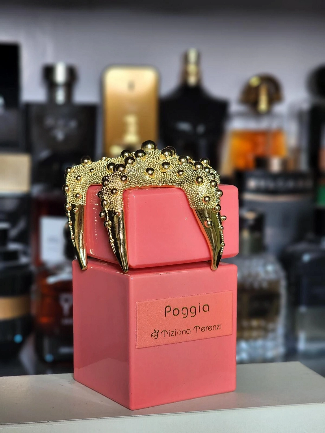 Tiziana Terenzi Poggia