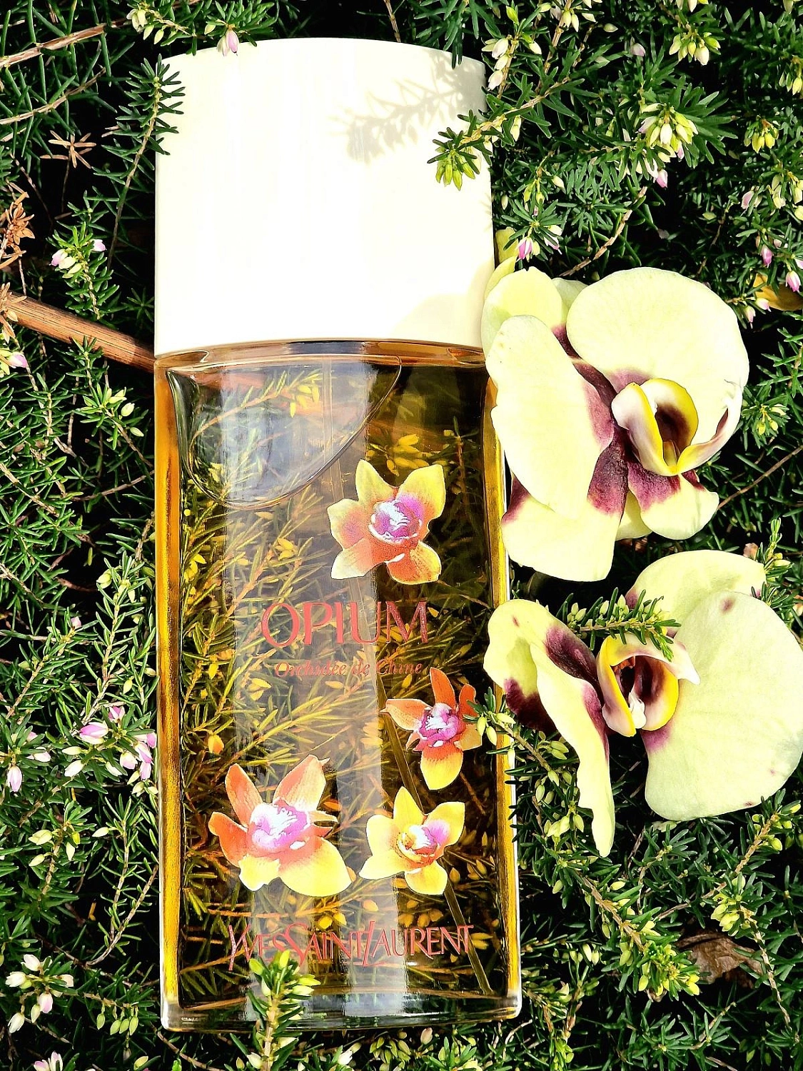 Yves Saint Laurent Opium Orchidee de Chine