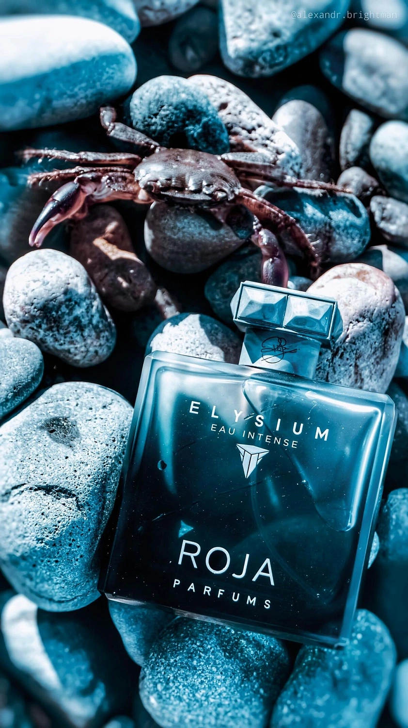 Roja Parfums Elysium Pour Homme Eau Intense