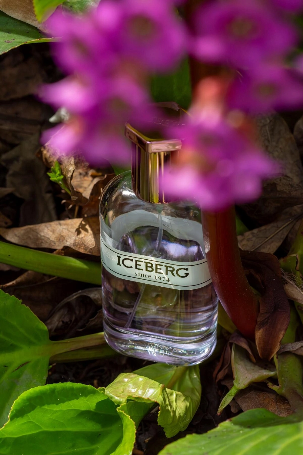 Iceberg Since 1974 for Her Iceberg Since 1974 for Her