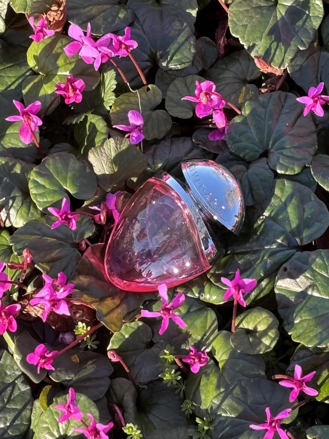 BVLGARI Omnia Pink Sapphire