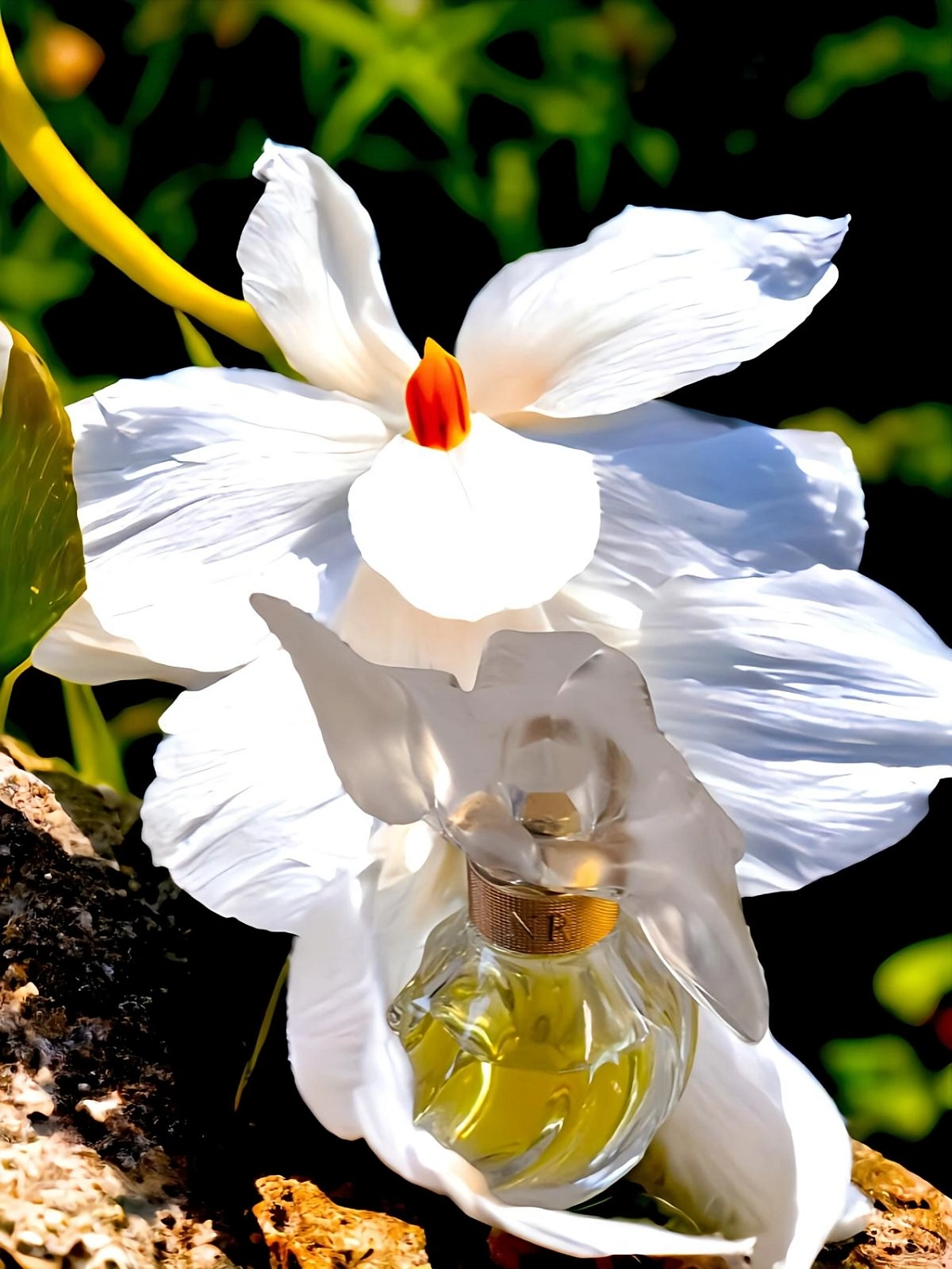 NINA RICCI L’Air du Temps