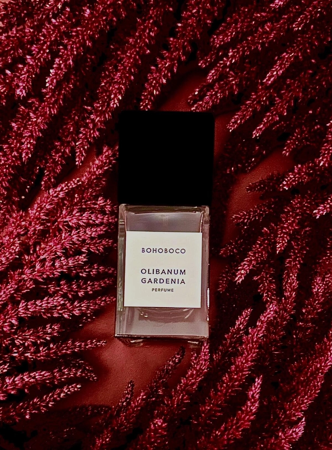 Bohoboco Olibanum Gardenia