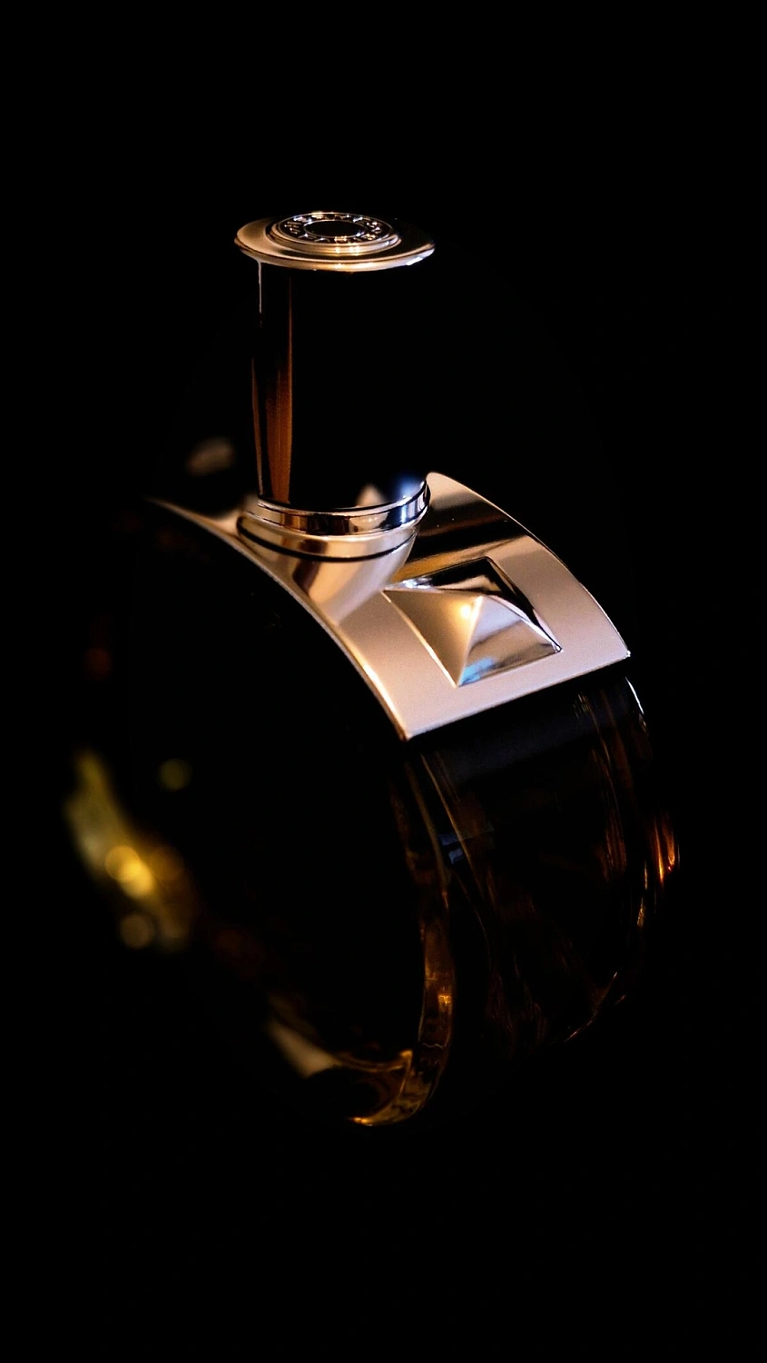 Hermes Barenia Intense