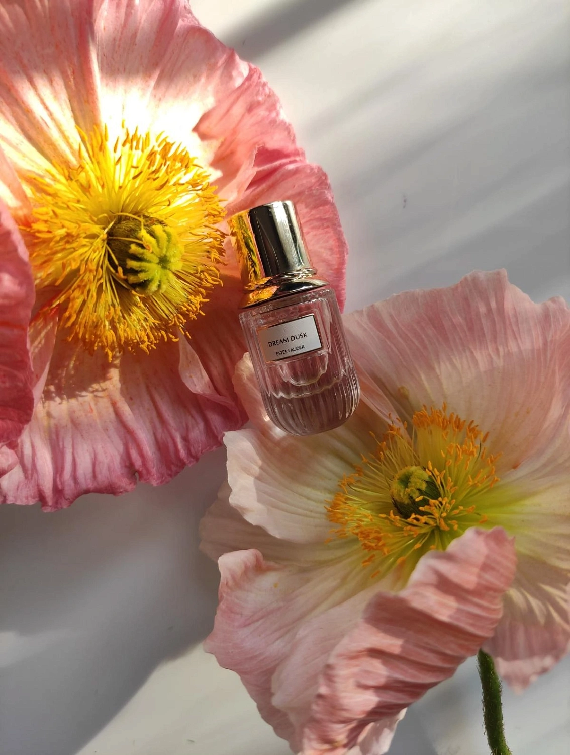 Estee Lauder Dream Dusk