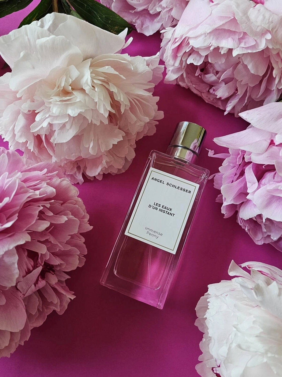 Angel Schlesser Immense Peony
