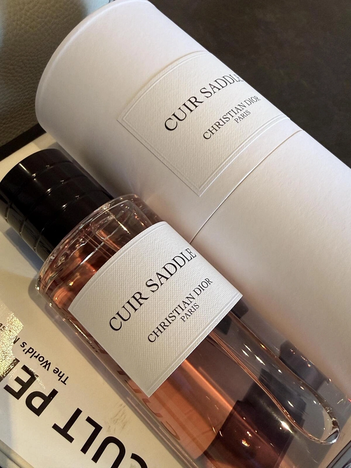 Christian Dior Cuir Saddle