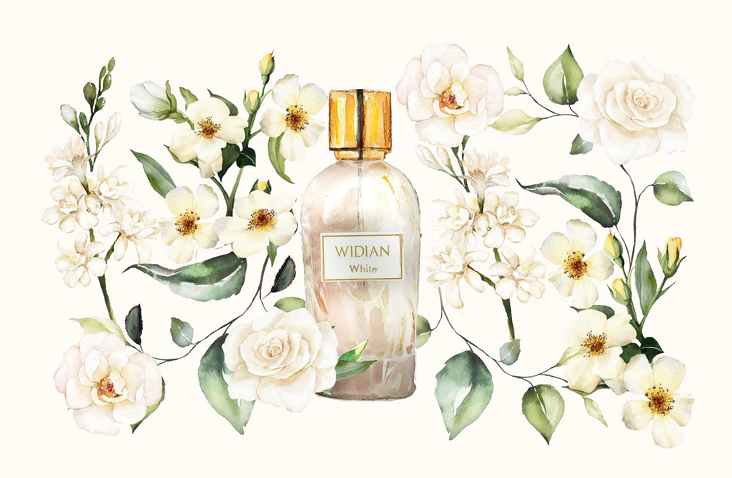 Aj Arabia Widian Rose Arabia White
