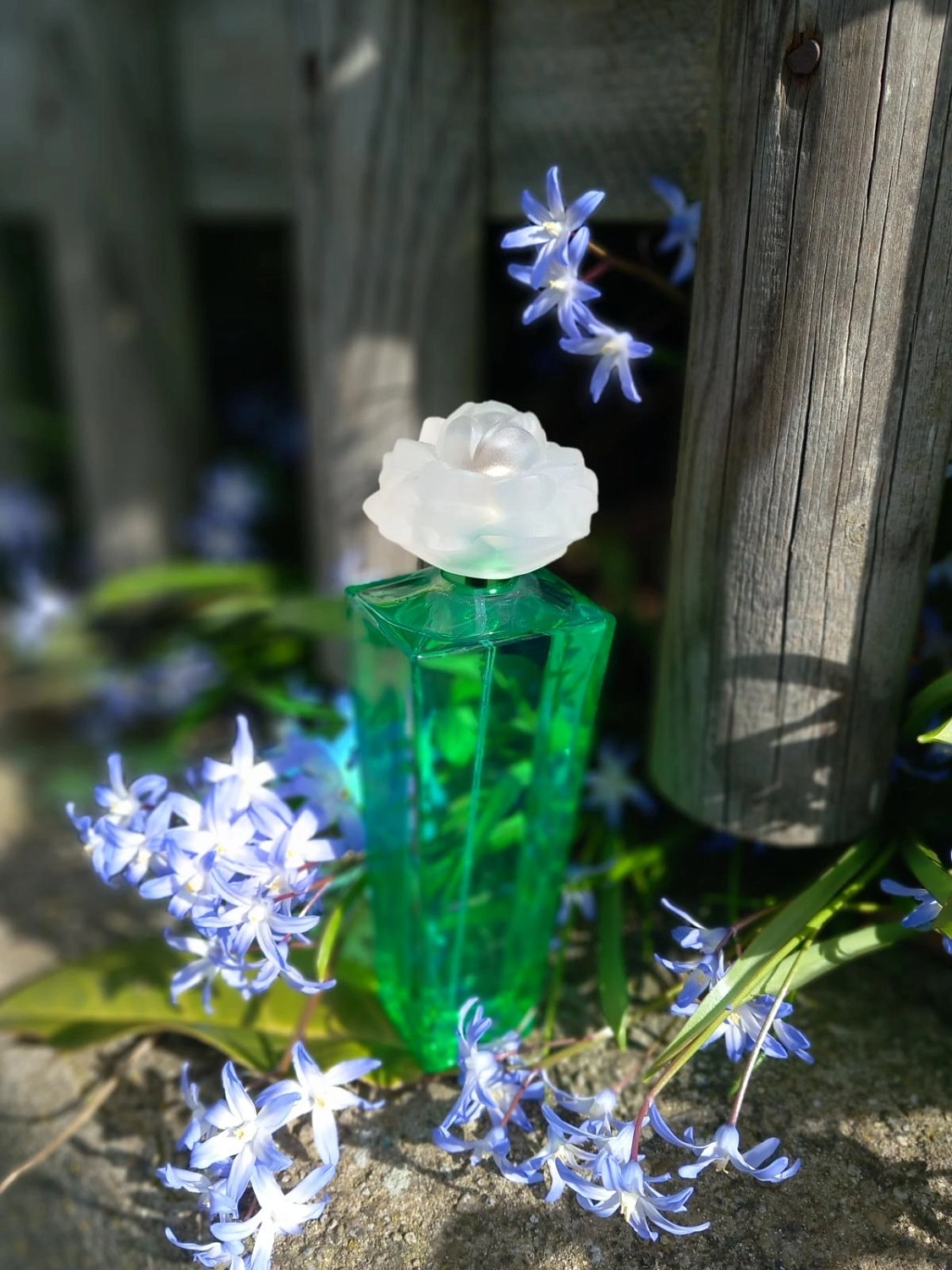 Elizabeth Taylor Gardenia