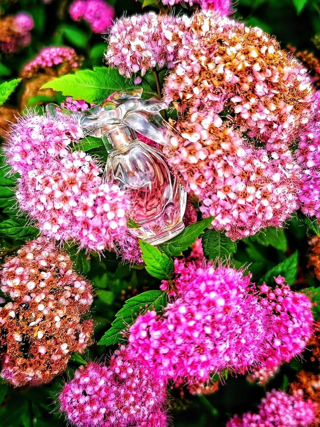 NINA RICCI L’Air Du Temps Colored Doves