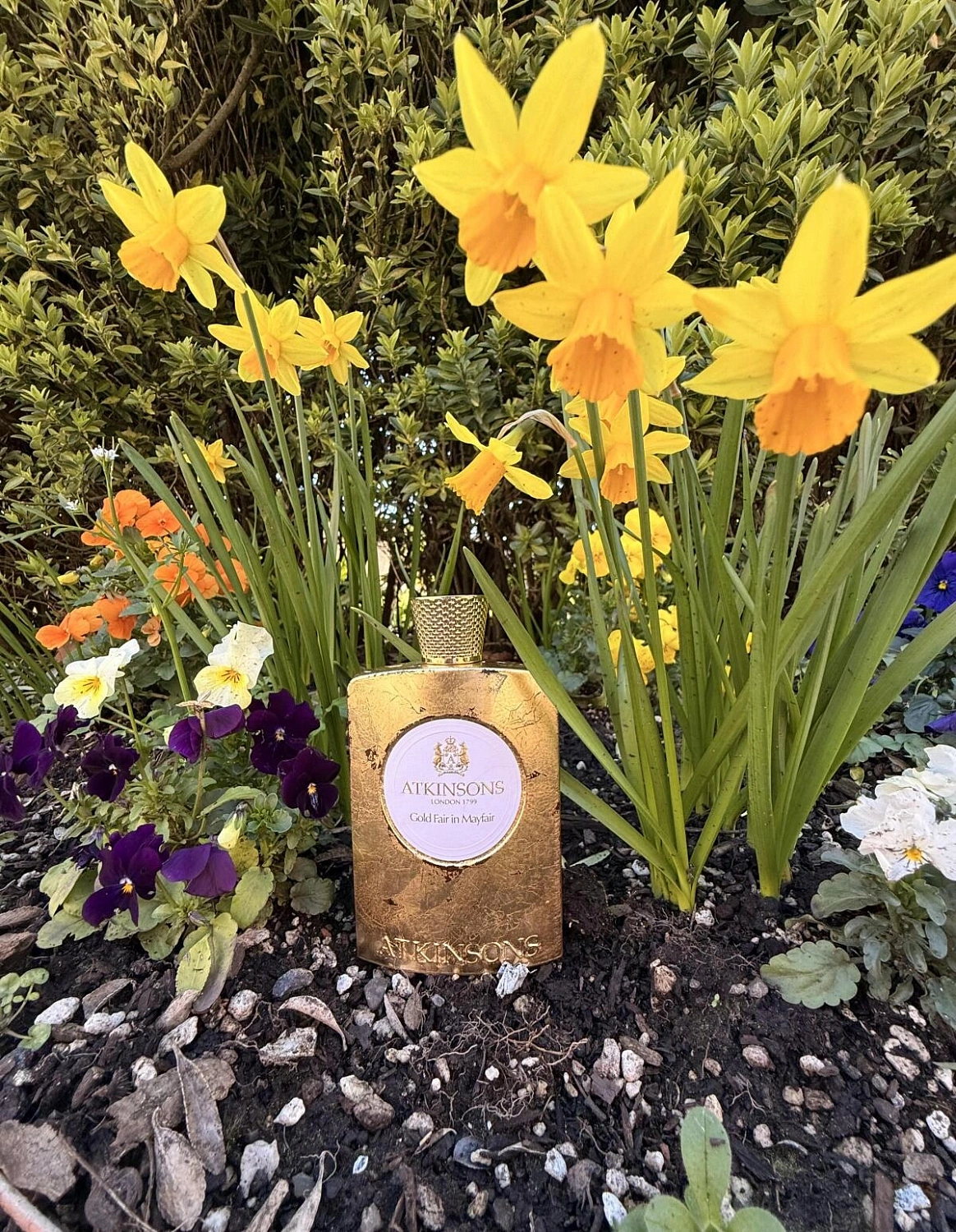 Atkinsons Gold Fair In Mayfair