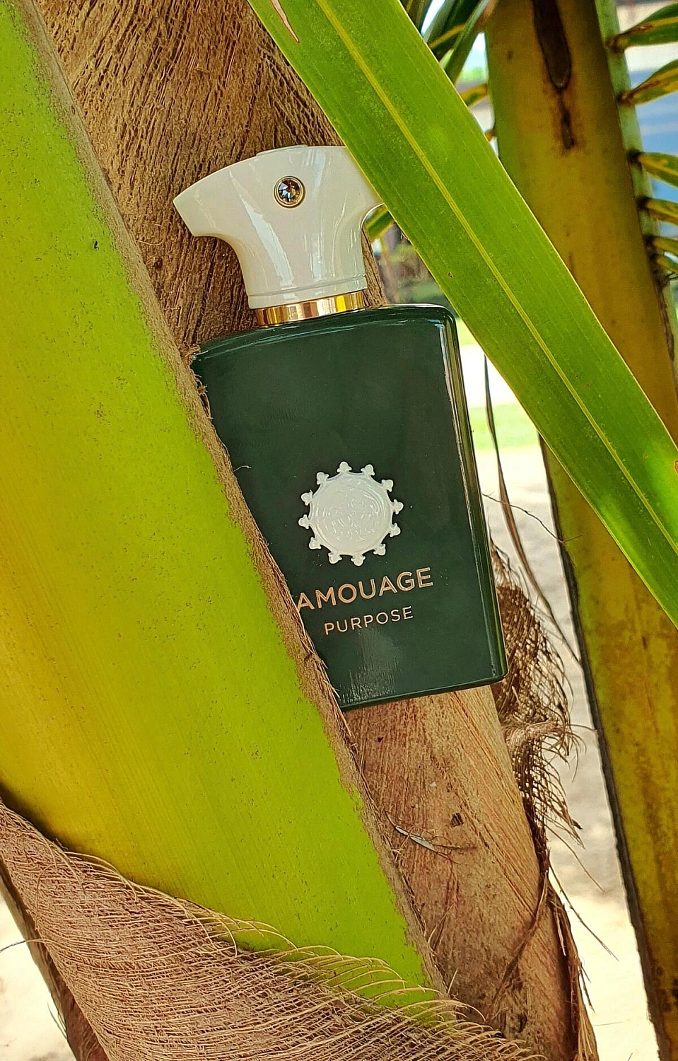 Amouage Purpose Amouage Purpose