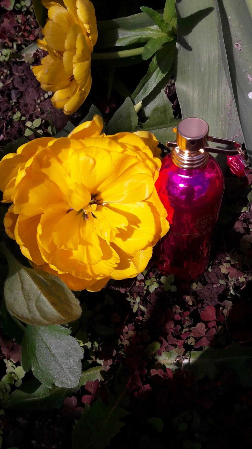 MONTALE Pink Extasy MONTALE Pink Extasy
