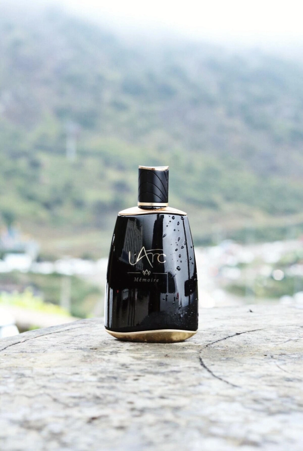 L'Arc Memoire, Carnet de Voyage