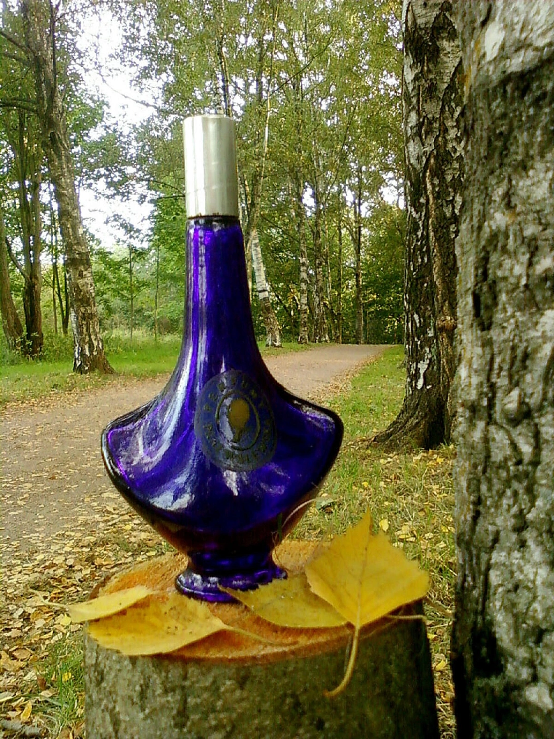 Pani Walewska Classic